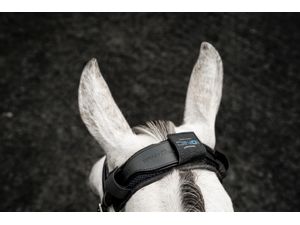 Horseware Ionic Poll Cover - Black