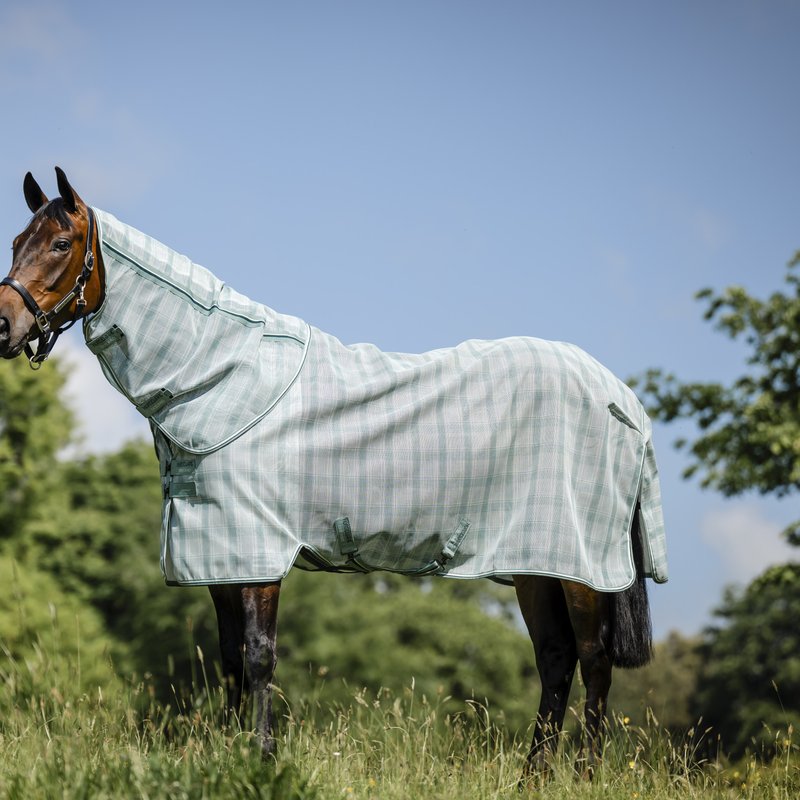 Horseware Newmarket Plus Fly Sheet with hood on a bay horse