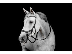 Horseware Micklem Deluxe Competition - Black
