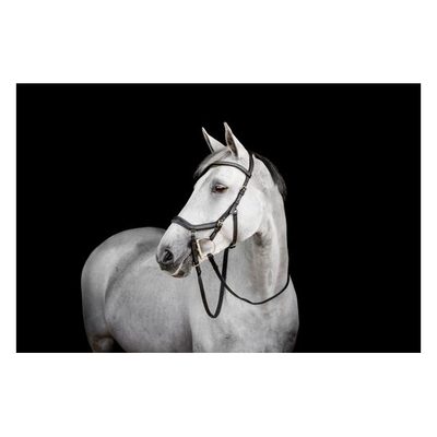 Horseware Micklem Diamante Competition - Black