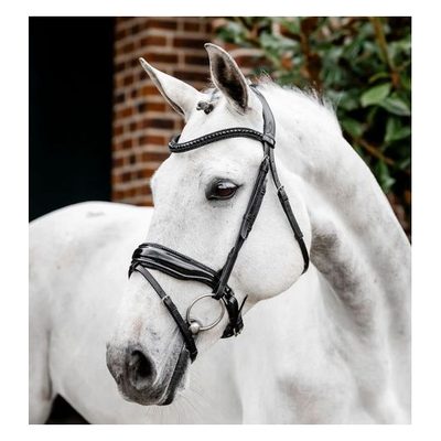 Horseware Diamante Flash Bridle - Black/Black