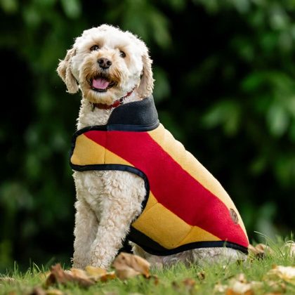Horseware Newmarket Dog Fleece - Witney Gold