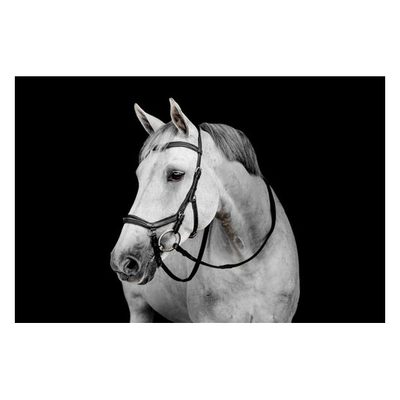 Horseware Micklem Deluxe Competition - Black
