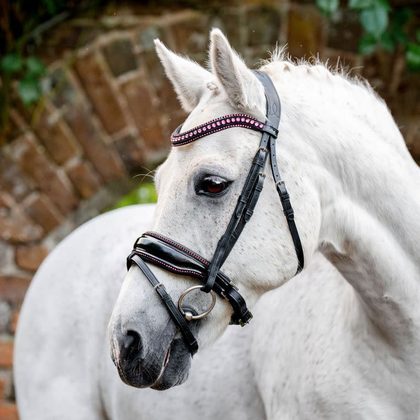 Horseware Pony Diamante Flash Bridle - Black/Pink