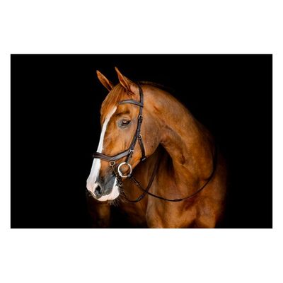 Horseware Micklem Competition Bridle - Dark Havana