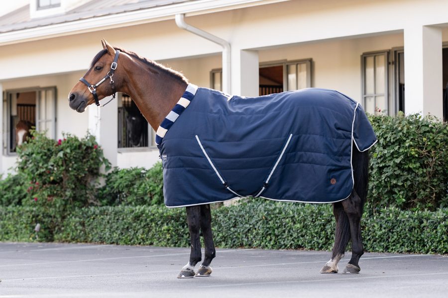 A bay horse in a navy Horseware Newmarket Cosy Stable blanket outside a country house