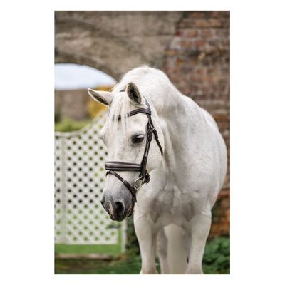 Horseware Pony  Flash Bridle - Brown