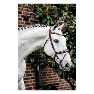 Horseware Dressage Flash Bridle - Brown