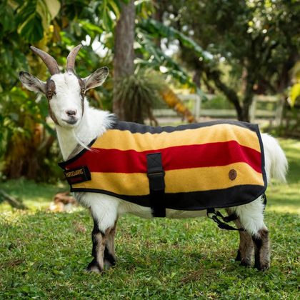 Horseware Newmarket Goat Fleece - Witney Gold