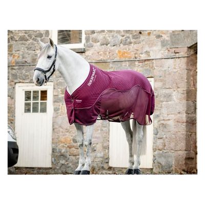 Horseware Signature Travel Cooler - Burgundy