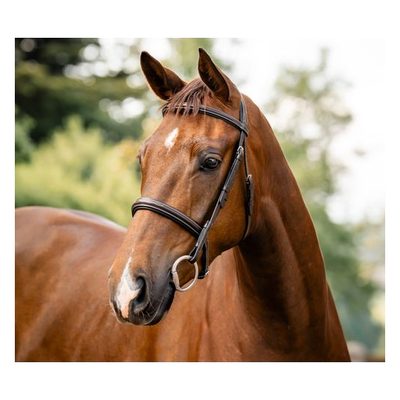 Horseware Hunter Bridle - Havana Brown