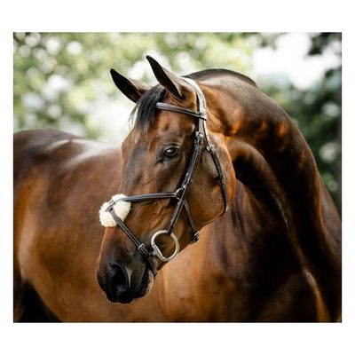 Horseware Figure 8 Grackle Bridle - Brown