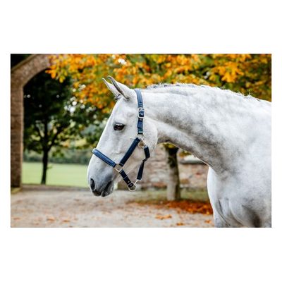 Horseware Grooming Headcollar - Navy