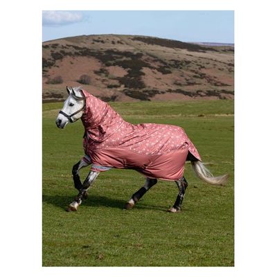 LeMieux Arika Star Turnout Rug 200g - Spiced Earth