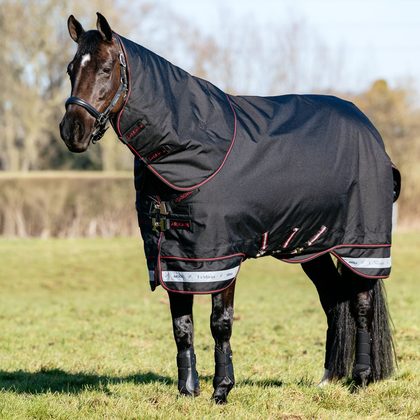 LeMieux Arika 600D Ripstop 0g Turnout Blanket - Bramble