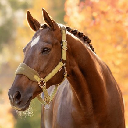 LeMieux Vogue Halter and Leadrope - Russet