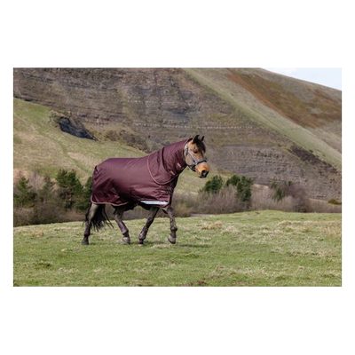 LeMieux Arika 600D Ripstop 0g Turnout Blanket - Bramble