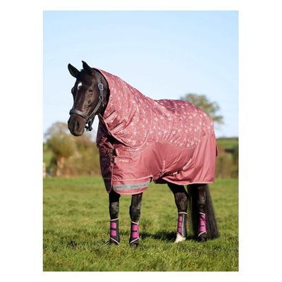 LeMieux Arika Star Turnout Rug 0g - Spiced Earth