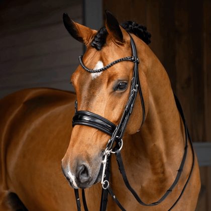 LeMieux Arika Drop Bridle - Brown/Silver