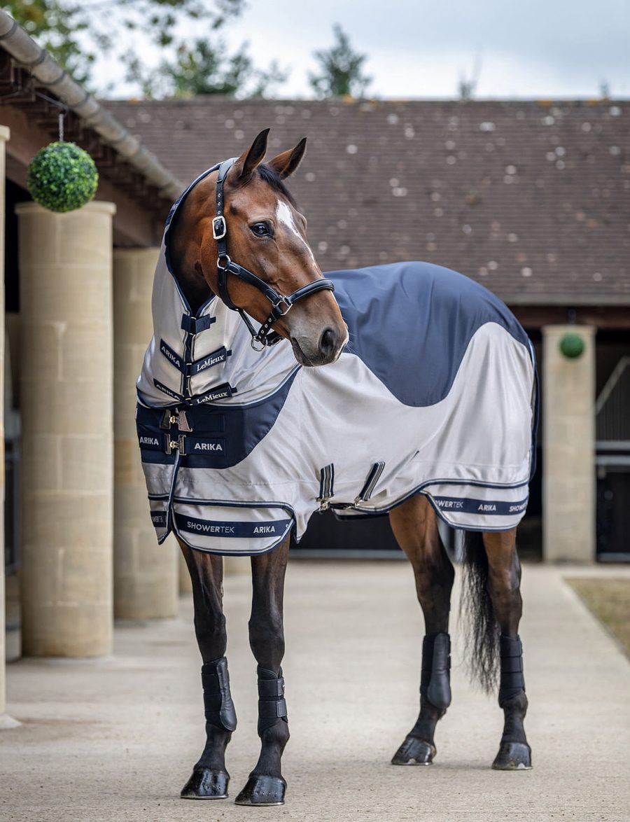 A bay horse in a gray and blue LeMieux Arika ShowerTek fly blanket standing in a stable yard