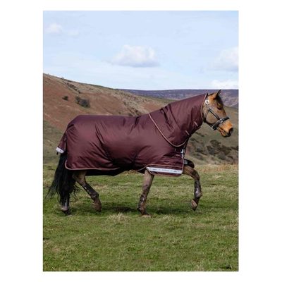 LeMieux Arika 600D Ripstop 100g Turnout Blanket - Bramble