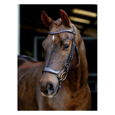 LeMieux Arika Drop Bridle - Brown/Silver
