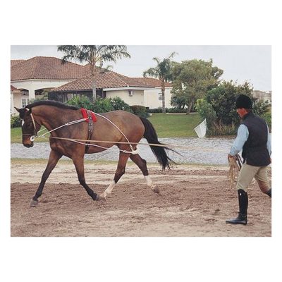 Pessoa Lunging System - Natural