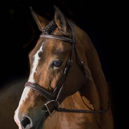 Pessoa PRO Fancy Stitched Wide Noseband Bridle - Dark Brown
