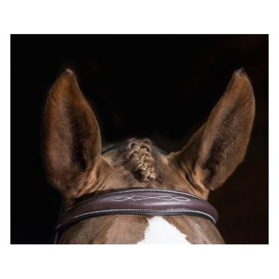 Pessoa PRO Fancy Stitched Tapered Noseband Bridle - Dark Brown