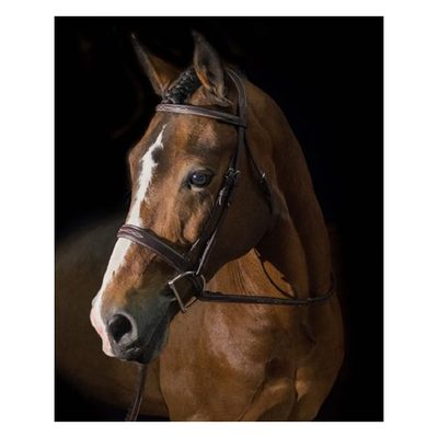 Pessoa PRO Fancy Stitched Wide Noseband Bridle - Dark Brown