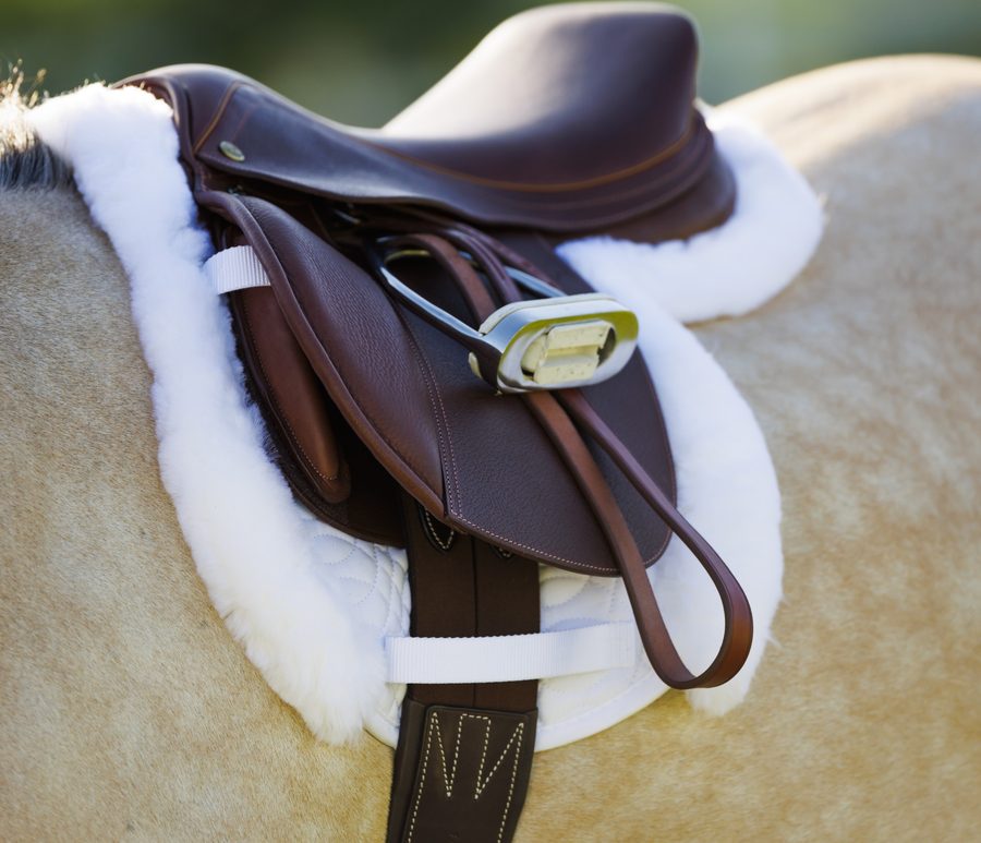A brown Pessoa Pony saddle with a fleece half pad on a palomino pony