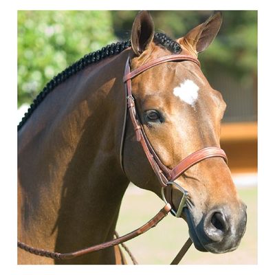 Pessoa Rodrigo Fancy Wide Show Bridle - Medium Brown