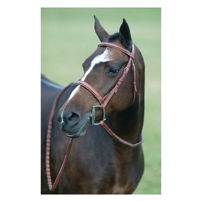 Pessoa Rodrigo Fancy Wide Show Bridle - Dark Brown