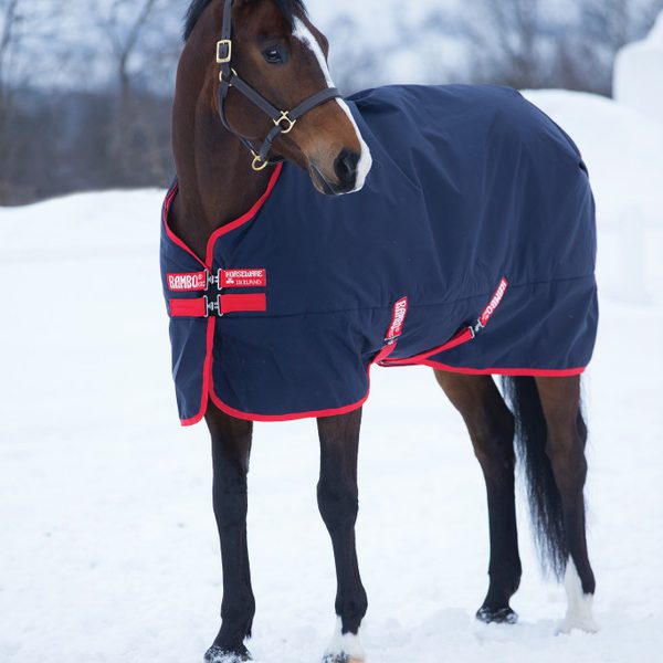Rambo Horse Blankets: Turnouts, Sheets & Coolers | TOD