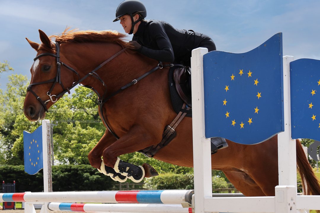 Chestnut horse and rider clearing a show jump, the horse wearing Shires ARMA OXI-ZONE SupaFleece tendon and fetlock boots