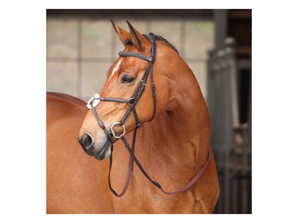 Shires Avignon Woodside Bridle - Havana