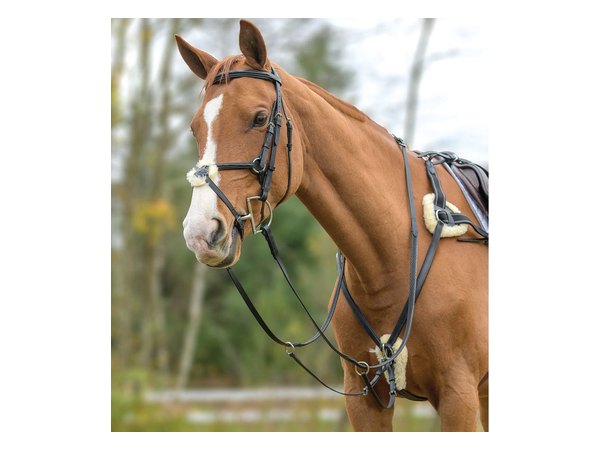 Shires Avignon Five Point Breastplate - Black