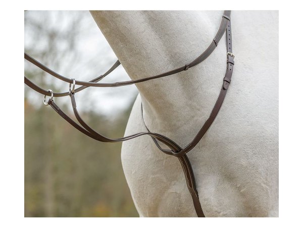 Shires Avignon Running Martingale - Havana