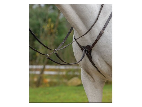 Shires Avignon Three Point Breastplate - Havana