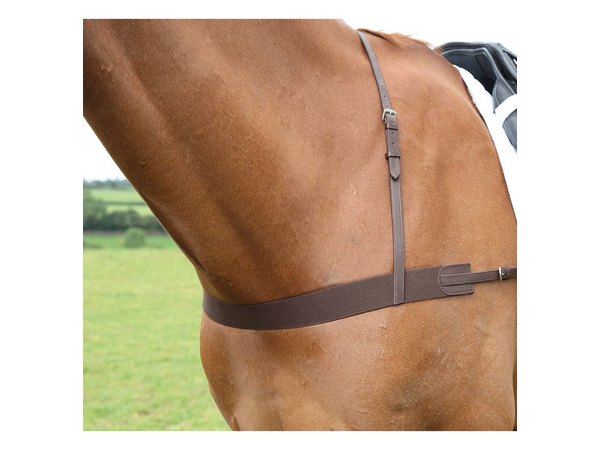 Shires Avignon Elastic Breast Girth - Havana