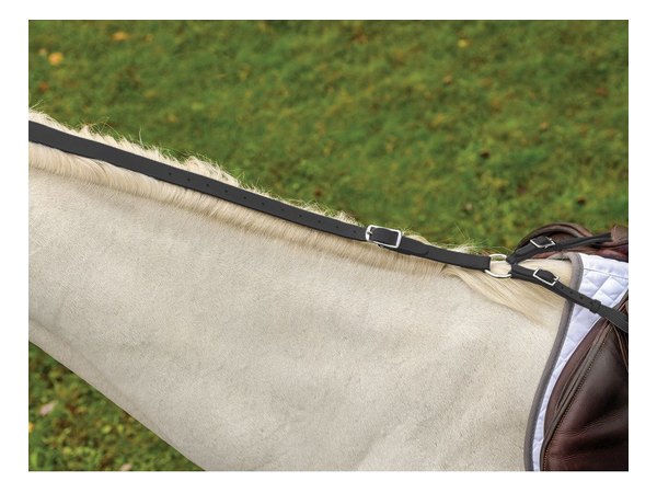 Shires Avignon Daisy Rein - Black