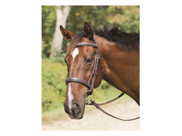 Shires Avignon Wellington Bridle - Havana