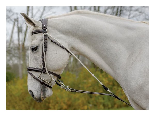 Shires Avignon De Gogue Trainng Aid - Havana