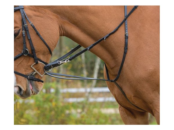 Shires Avignon German Martingale - Black