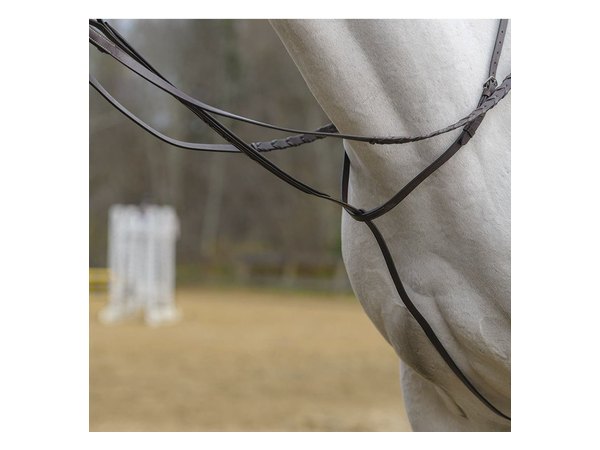 Shires Avignon Standing Martingale - Havana