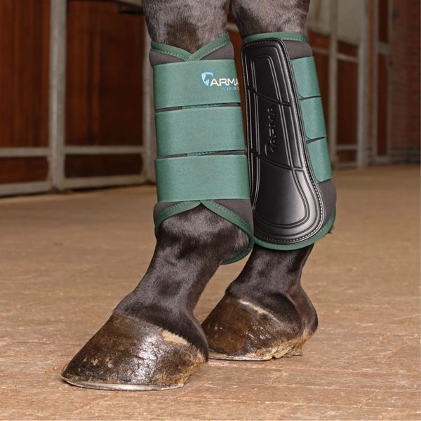 A horse wearing green Shires ARMA tendon and fetlock boots in an arena