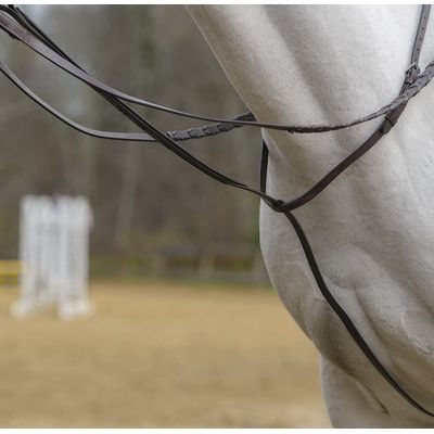 Shires Avignon Standing Martingale - Havana