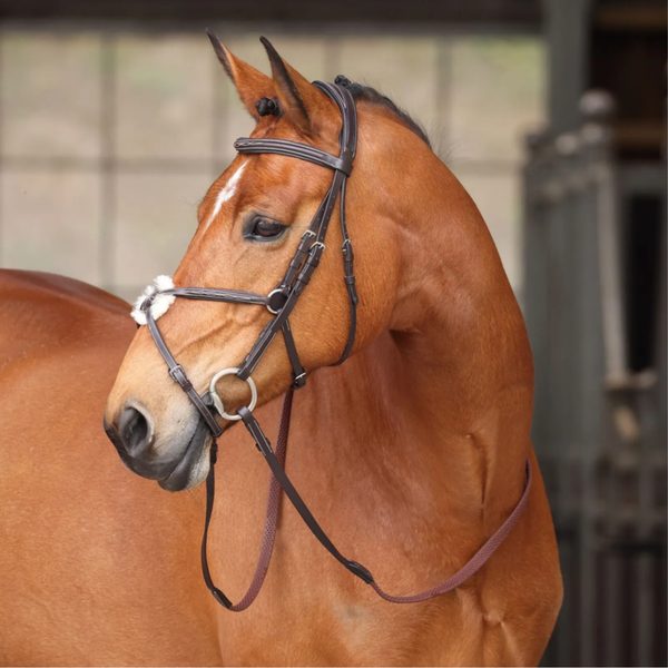 A chestnut horse in a Shires bridle and snaffle bit