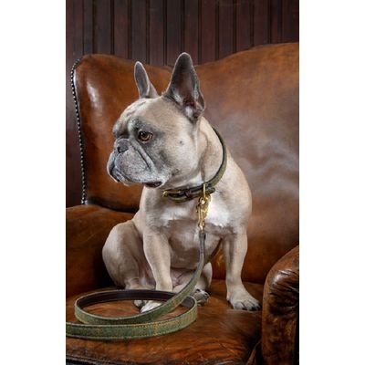 Digby & Fox Tweed Dog Lead - Red/Yellow/Blue