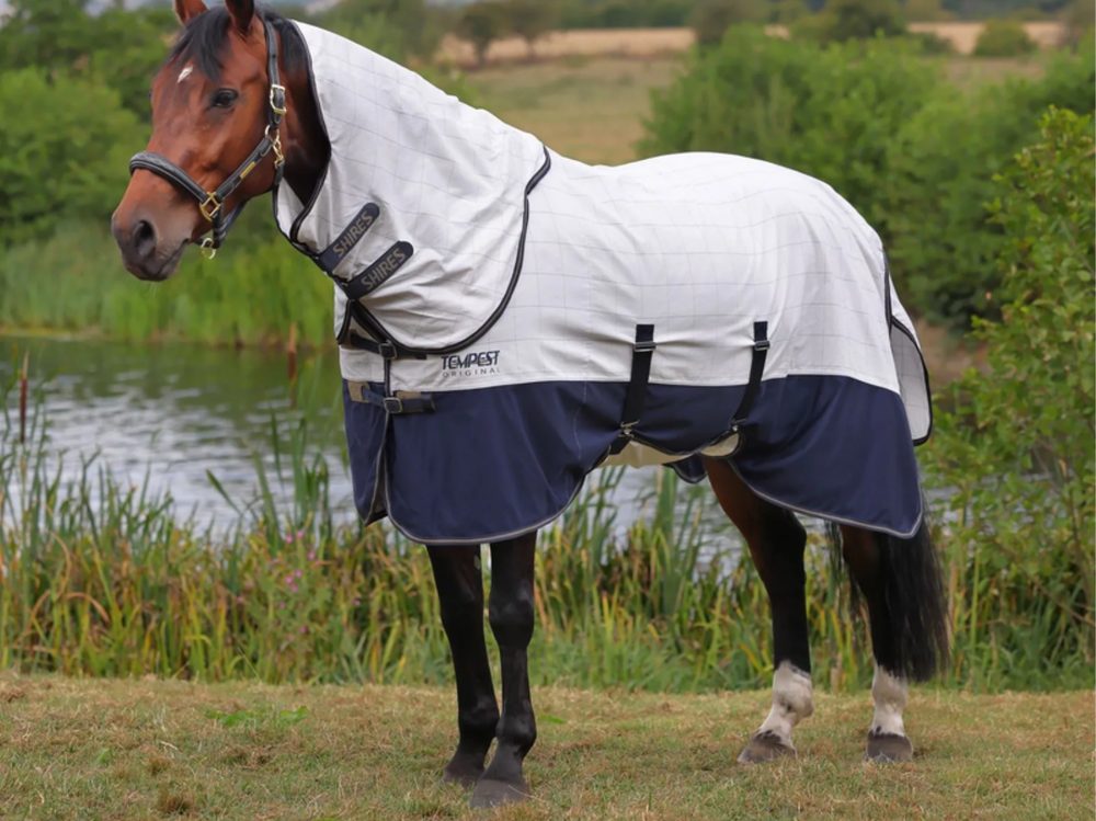 A horse in a white and navy Shires Tempest fly sheet beside a pond